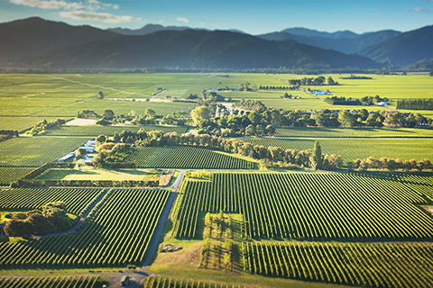 regions-marlborough-desktop.jpg