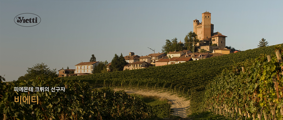 vietti_top_img.jpg