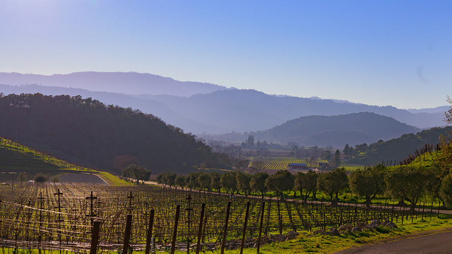 default-winery-cover.jpg
